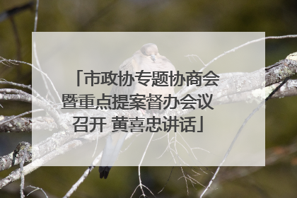 市政协专题协商会暨重点提案督办会议召开 黄喜忠讲话