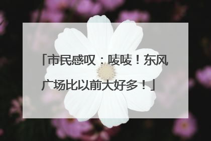 市民感叹：唛唛！东风广场比以前大好多！