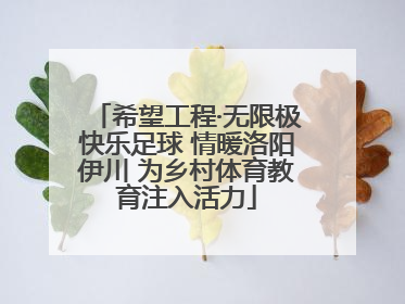 希望工程·无限极快乐足球 情暖洛阳伊川 为乡村体育教育注入活力