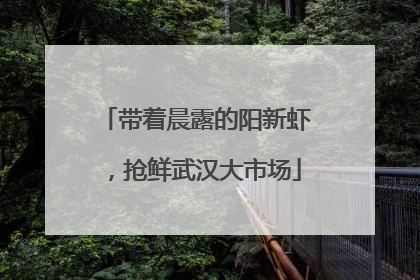 带着晨露的阳新虾，抢鲜武汉大市场