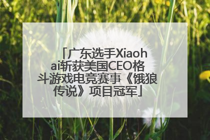 广东选手Xiaohai斩获美国CEO格斗游戏电竞赛事《饿狼传说》项目冠军