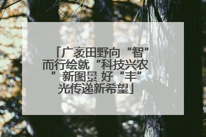 广袤田野向“智”而行绘就“科技兴农”新图景 好“丰”光传递新希望