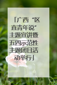广西“区直青年说”主题宣讲暨五四示范性主题团日活动举行