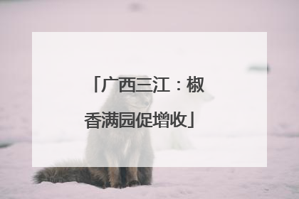 广西三江：椒香满园促增收