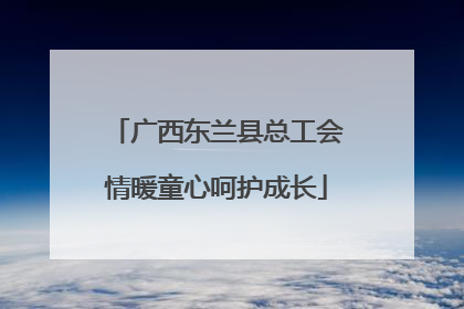 广西东兰县总工会情暖童心呵护成长