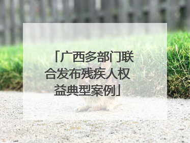 广西多部门联合发布残疾人权益典型案例