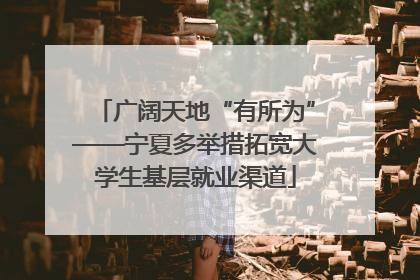 广阔天地“有所为”——宁夏多举措拓宽大学生基层就业渠道