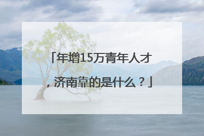 年增15万青年人才，济南靠的是什么？
