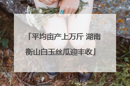 平均亩产上万斤 湖南衡山白玉丝瓜迎丰收