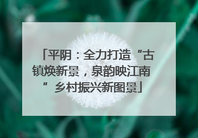 平阴：全力打造“古镇焕新景，泉韵映江南”乡村振兴新图景