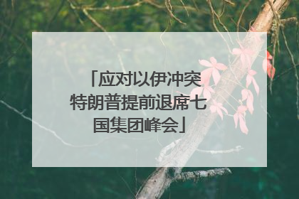 应对以伊冲突 特朗普提前退席七国集团峰会