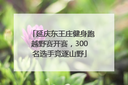 延庆东王庄健身跑越野赛开赛，300名选手竞逐山野