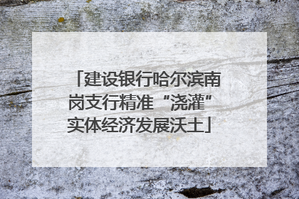 建设银行哈尔滨南岗支行精准“浇灌”实体经济发展沃土