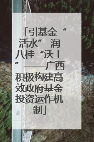 引基金“活水” 润八桂“沃土”——广西积极构建高效政府基金投资运作机制