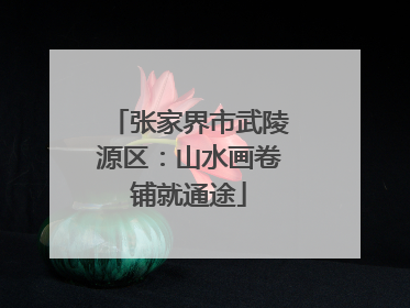 张家界市武陵源区：山水画卷铺就通途