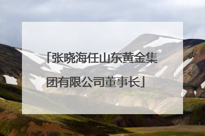 张晓海任山东黄金集团有限公司董事长