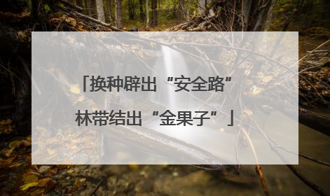 换种辟出“安全路” 林带结出“金果子”