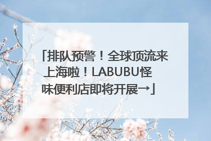 排队预警！全球顶流来上海啦！LABUBU怪味便利店即将开展→