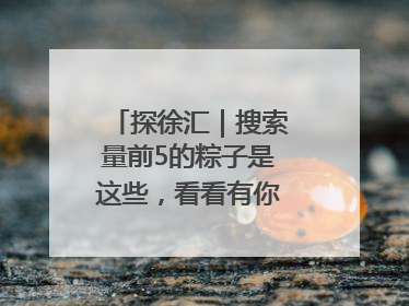 探徐汇｜搜索量前5的粽子是这些，看看有你爱吃的吗？