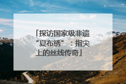 探访国家级非遗“夏布绣”：指尖上的丝线传奇