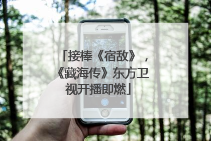 接棒《宿敌》，《藏海传》东方卫视开播即燃