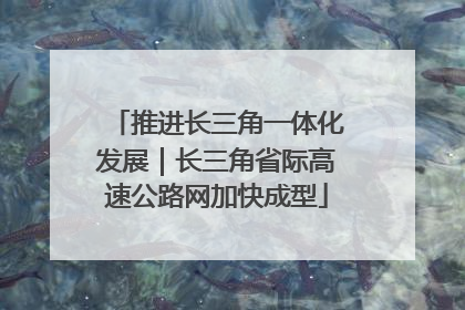 推进长三角一体化发展｜长三角省际高速公路网加快成型