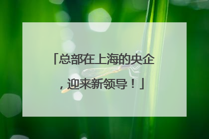 总部在上海的央企，迎来新领导！