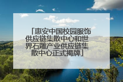惠安中国校园服饰供应链集散中心和世界石雕产业供应链集散中心正式揭牌