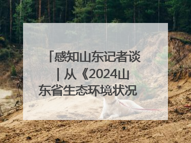 感知山东记者谈｜从《2024山东省生态环境状况公报》看美丽山东建设的“成绩单”与“任务书”