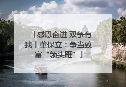 感恩奋进 双争有我丨董保立：争当致富“领头雁”