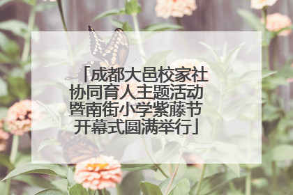 成都大邑校家社协同育人主题活动暨南街小学紫藤节开幕式圆满举行