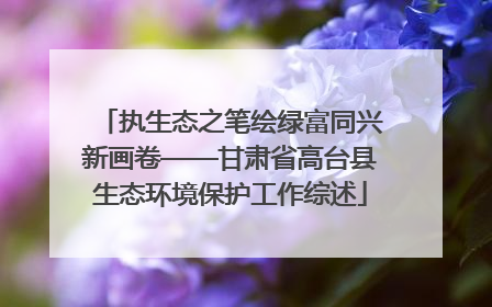 执生态之笔绘绿富同兴新画卷——甘肃省高台县生态环境保护工作综述