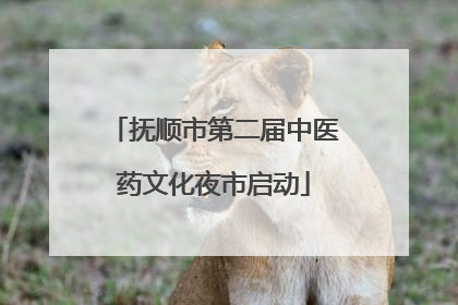 抚顺市第二届中医药文化夜市启动