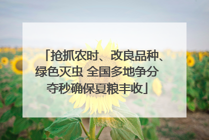 抢抓农时、改良品种、绿色灭虫 全国多地争分夺秒确保夏粮丰收