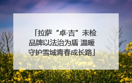 拉萨“卓·吉”未检品牌以法治为盾 温暖守护雪域青春成长路