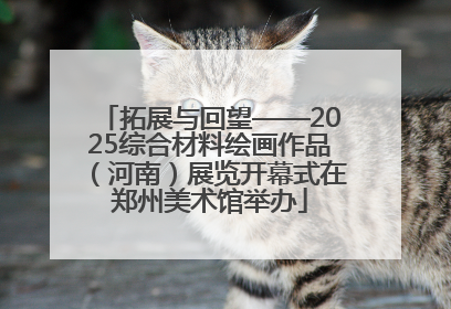 拓展与回望——2025综合材料绘画作品（河南）展览开幕式在郑州美术馆举办