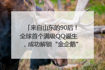 来自山东的90后！全球首个满级QQ诞生，成功解锁“金企鹅”，是继承父亲账号