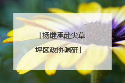 杨继承赴尖草坪区政协调研