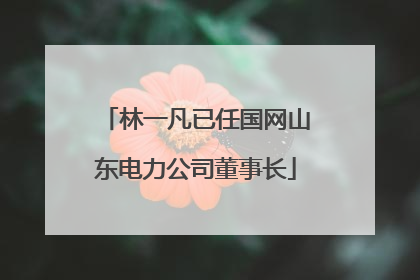 林一凡已任国网山东电力公司董事长
