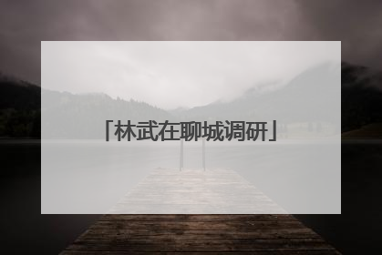 林武在聊城调研