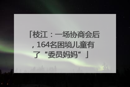 枝江：一场协商会后，164名困境儿童有了“委员妈妈”