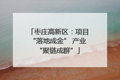 枣庄高新区：项目“落地成金” 产业“聚链成群”