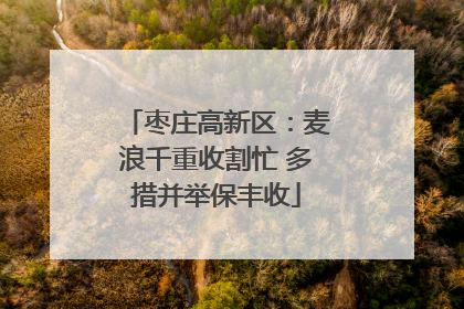 枣庄高新区：麦浪千重收割忙 多措并举保丰收