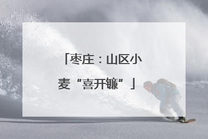 枣庄：山区小麦“喜开镰”