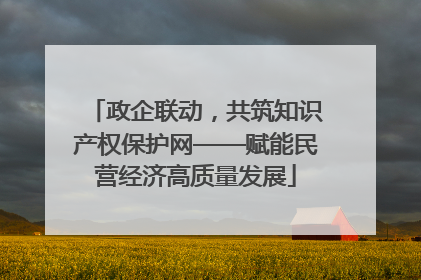 政企联动，共筑知识产权保护网——赋能民营经济高质量发展