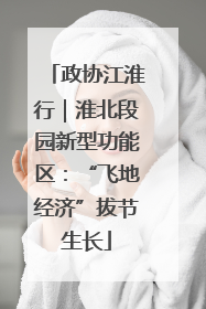 政协江淮行｜淮北段园新型功能区：“飞地经济”拔节生长