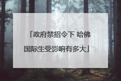 政府禁招令下 哈佛国际生受影响有多大