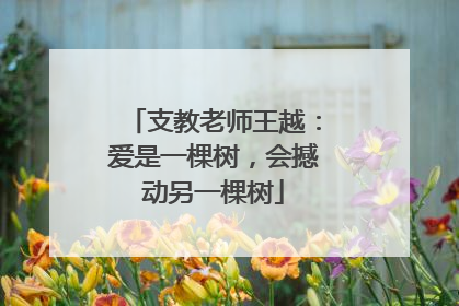 支教老师王越：爱是一棵树，会撼动另一棵树