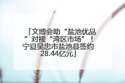文博会助“盐池优品”对接“湾区市场”！宁夏吴忠市盐池县签约28.44亿元