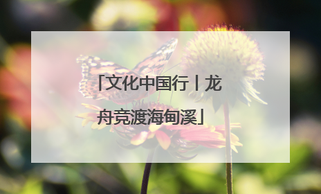 文化中国行丨龙舟竞渡海甸溪
